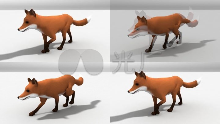 狐狸行走姿态调整改变走路3d三维动画视频模型 【声明】vj师网所有