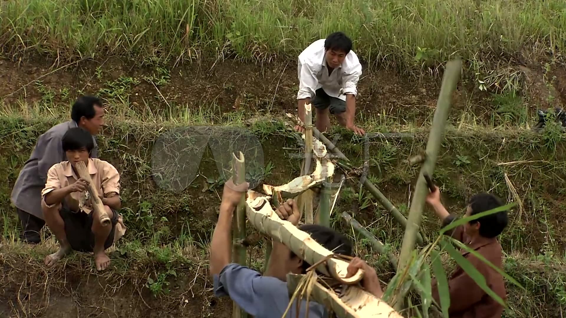 用竹子搭建引水渠道灌溉田地的瑶族男人们