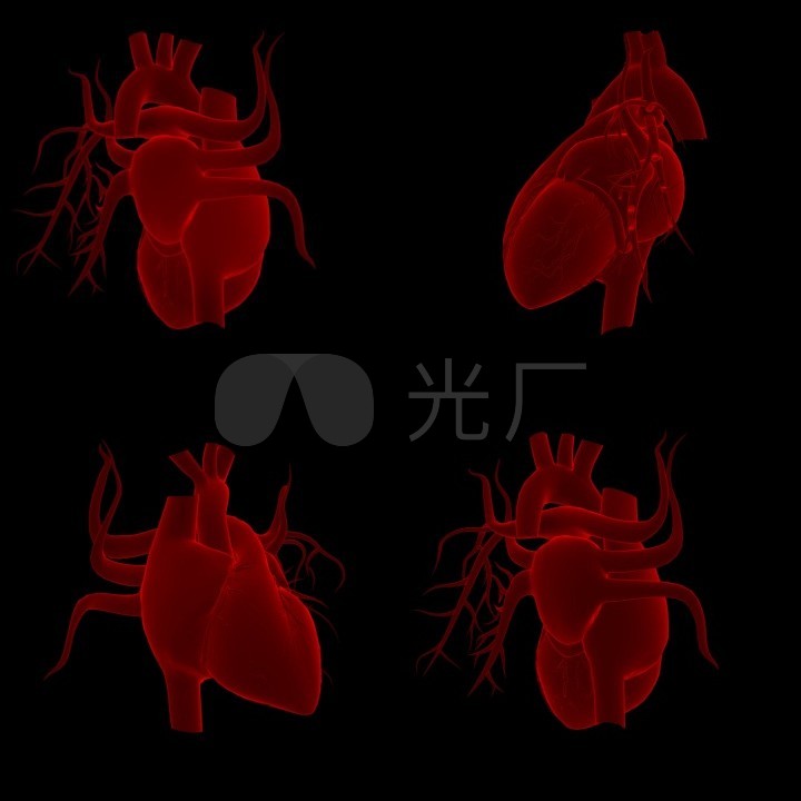 cg红色跳动的心脏