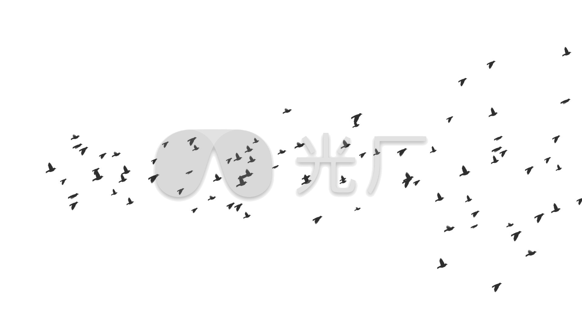 鸟飞鸟群飞alpha透明通道特_1920x1080_高清视频素材