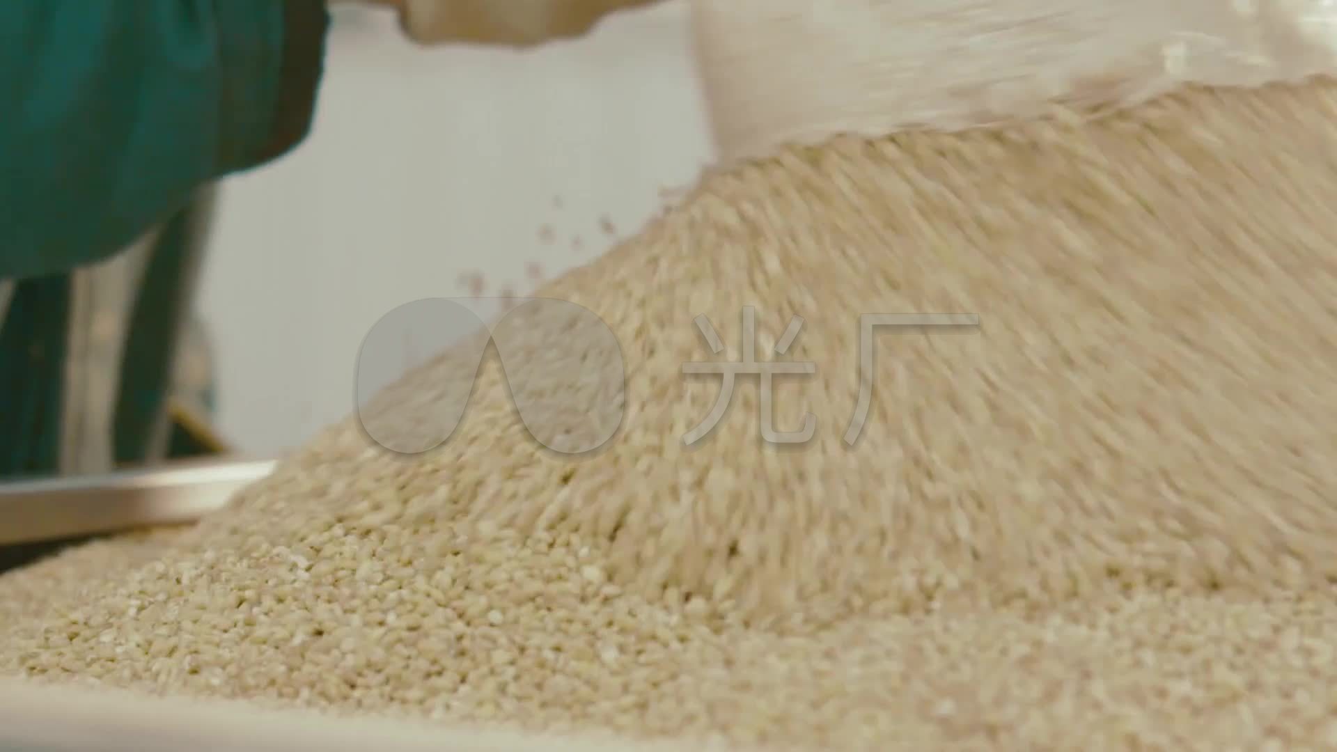 小麦加工面粉加工厂