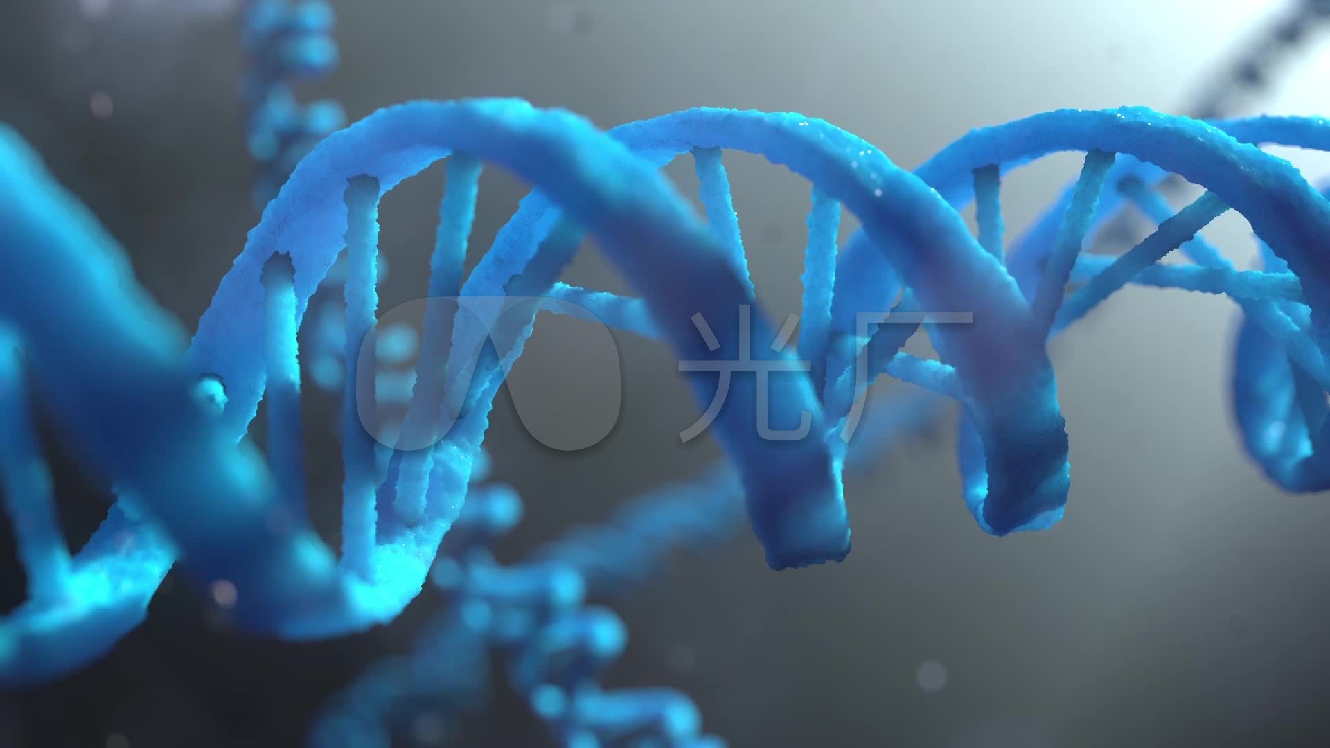 3d动画dna_1920x1080_高清视频素材下载(编号:2504890)_实拍视频_vj师