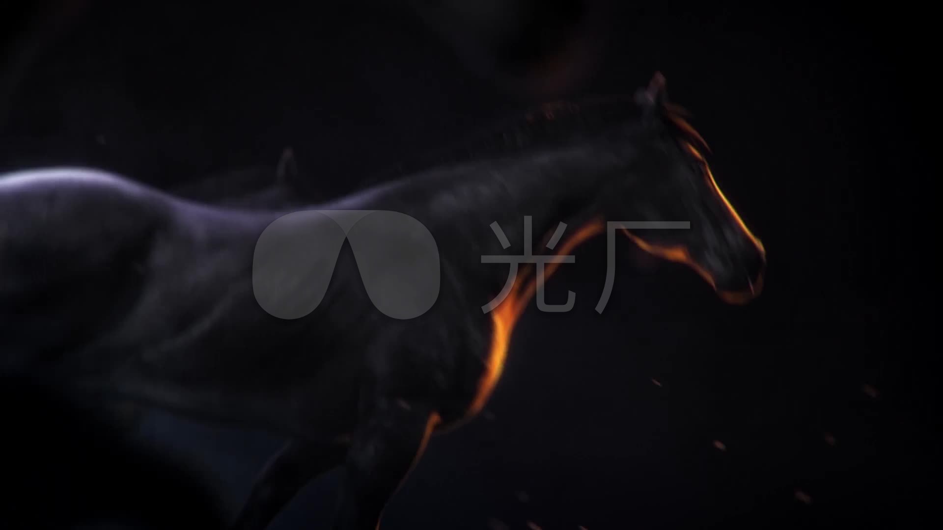 奔跑的黑马