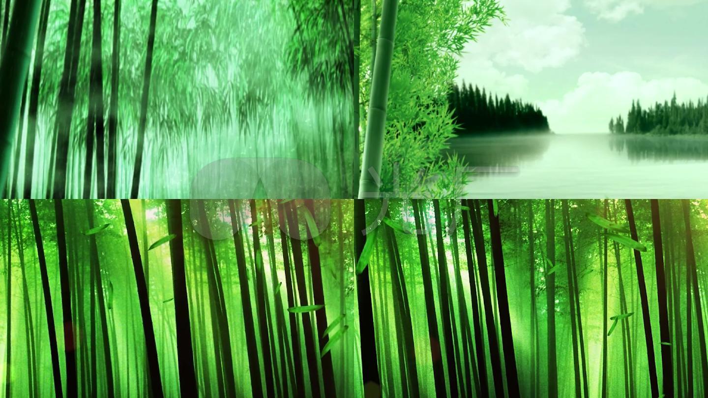梦幻竹林