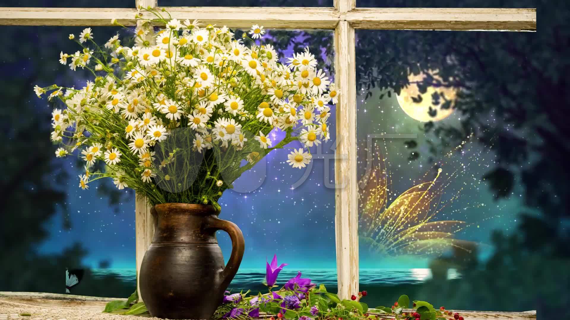 唯美窗台花卉窗外夜色蝴蝶飞舞