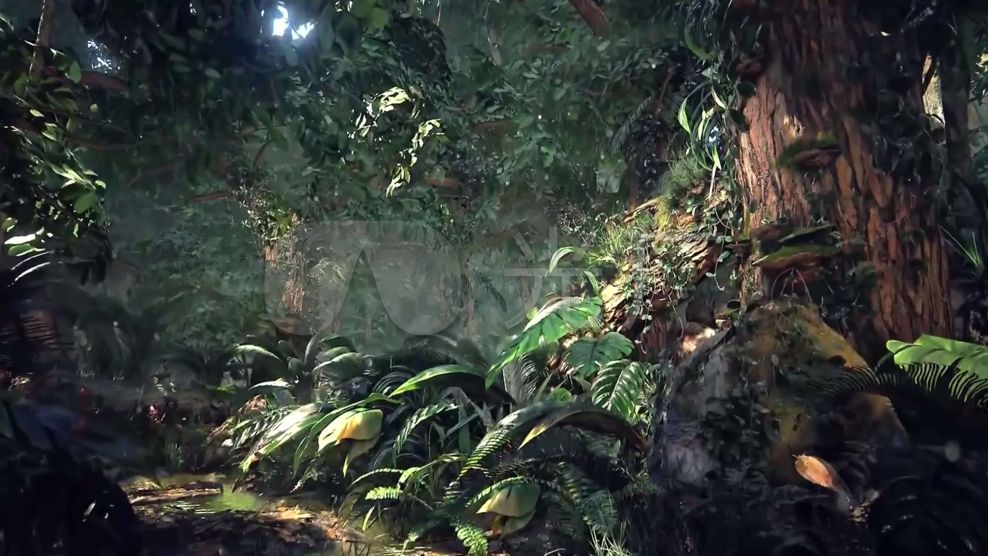 魔幻3d森林-蘑菇-热带雨林亚马逊丛林_3840x2160_高清