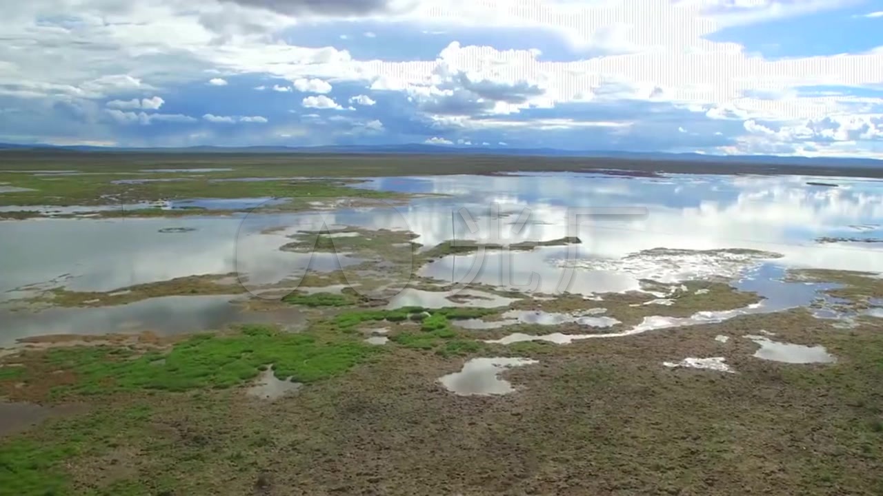 黄河源星星海保护区,一片沼泽地