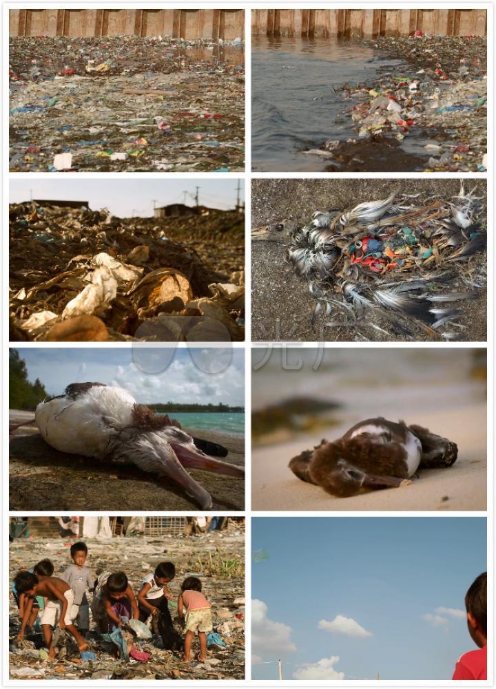 保护环境爱护大自然鸟儿塑料制品污染塑料袋垃圾孩子放风筝小孩海洋