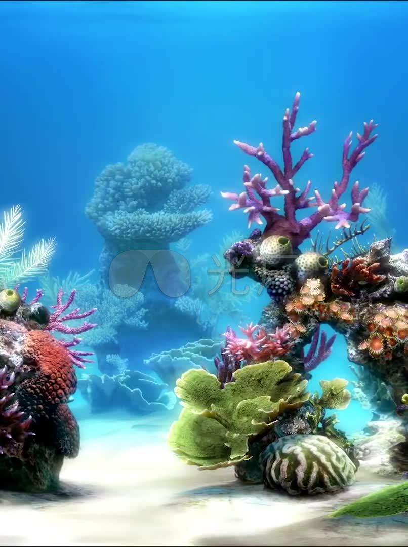 竖屏3d唯美梦幻海底世界水族馆热带鱼