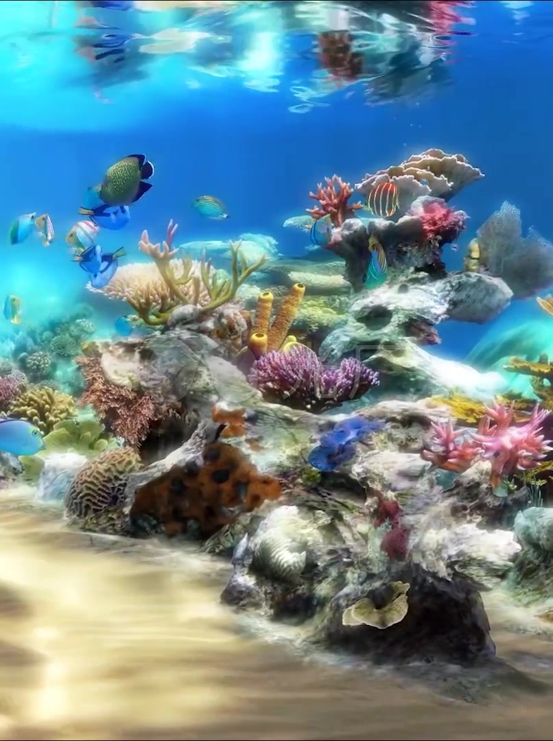 竖屏3d唯美梦幻海底世界水族馆热带鱼