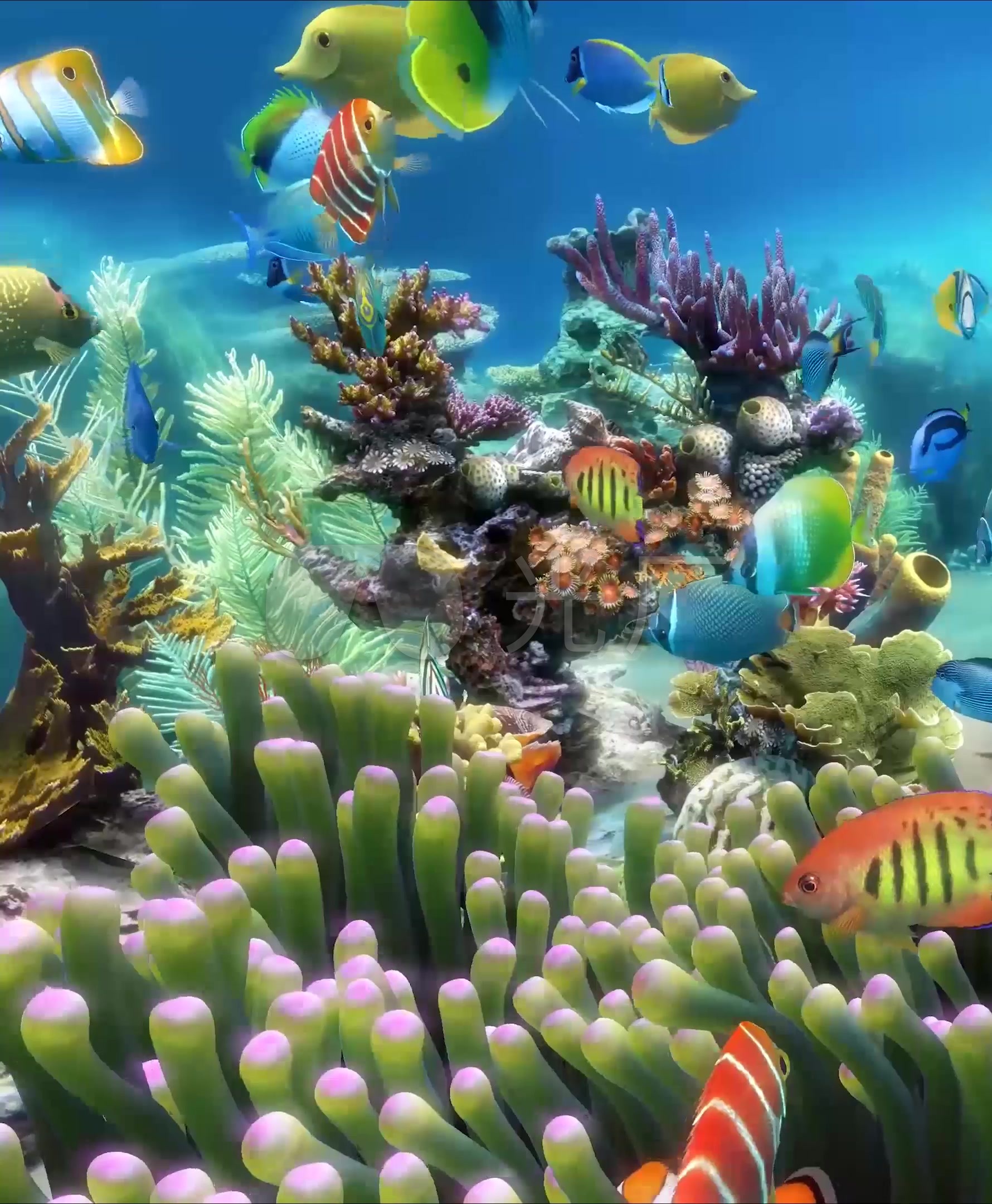 竖屏3d唯美梦幻海底世界水族馆热带鱼