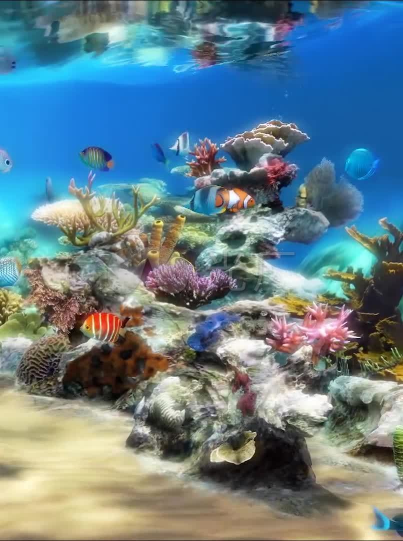 竖屏3d唯美梦幻海底世界水族馆热带鱼_806x1080_高清视频素材下载