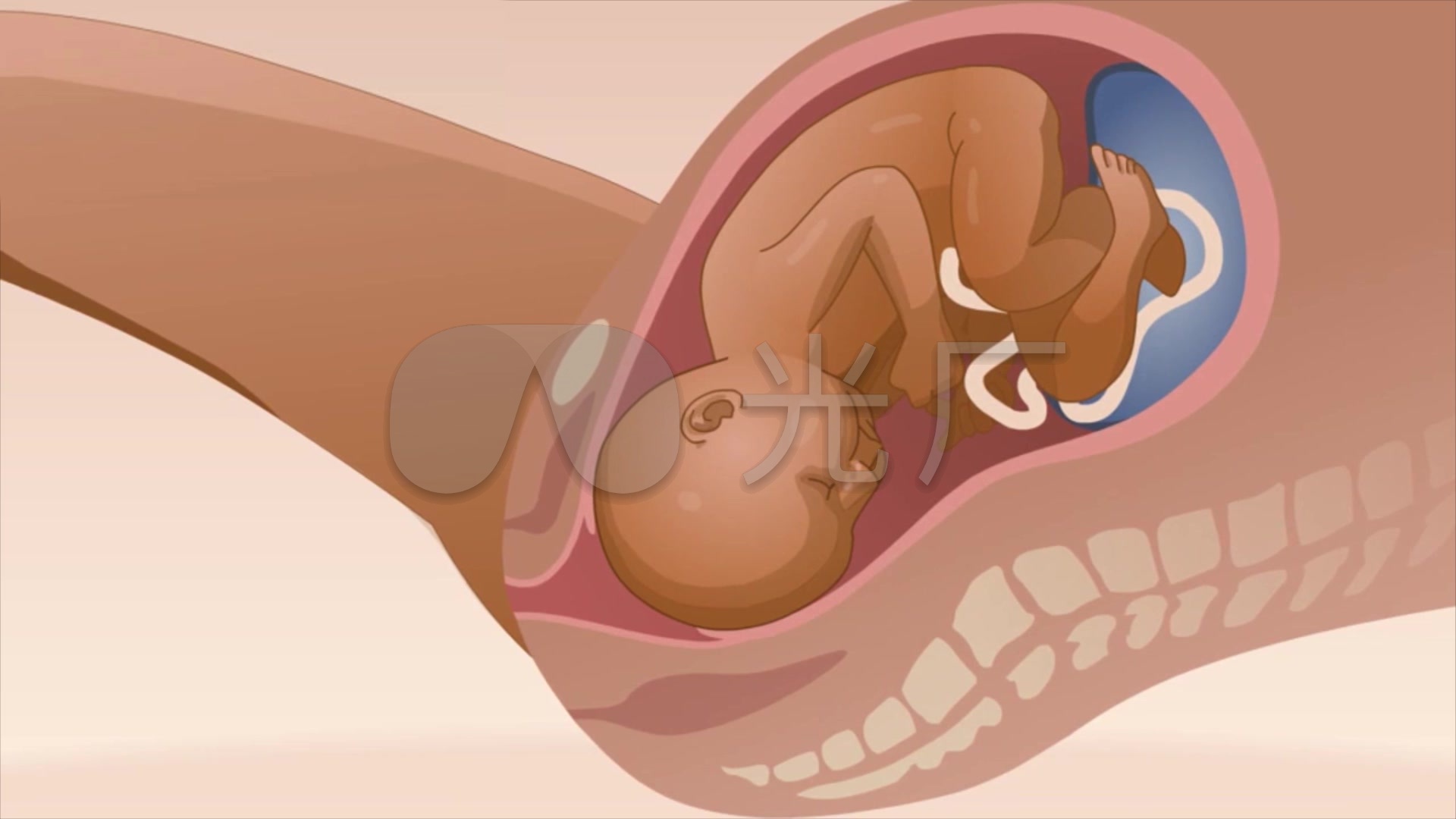 孕妇分娩婴儿出生动画