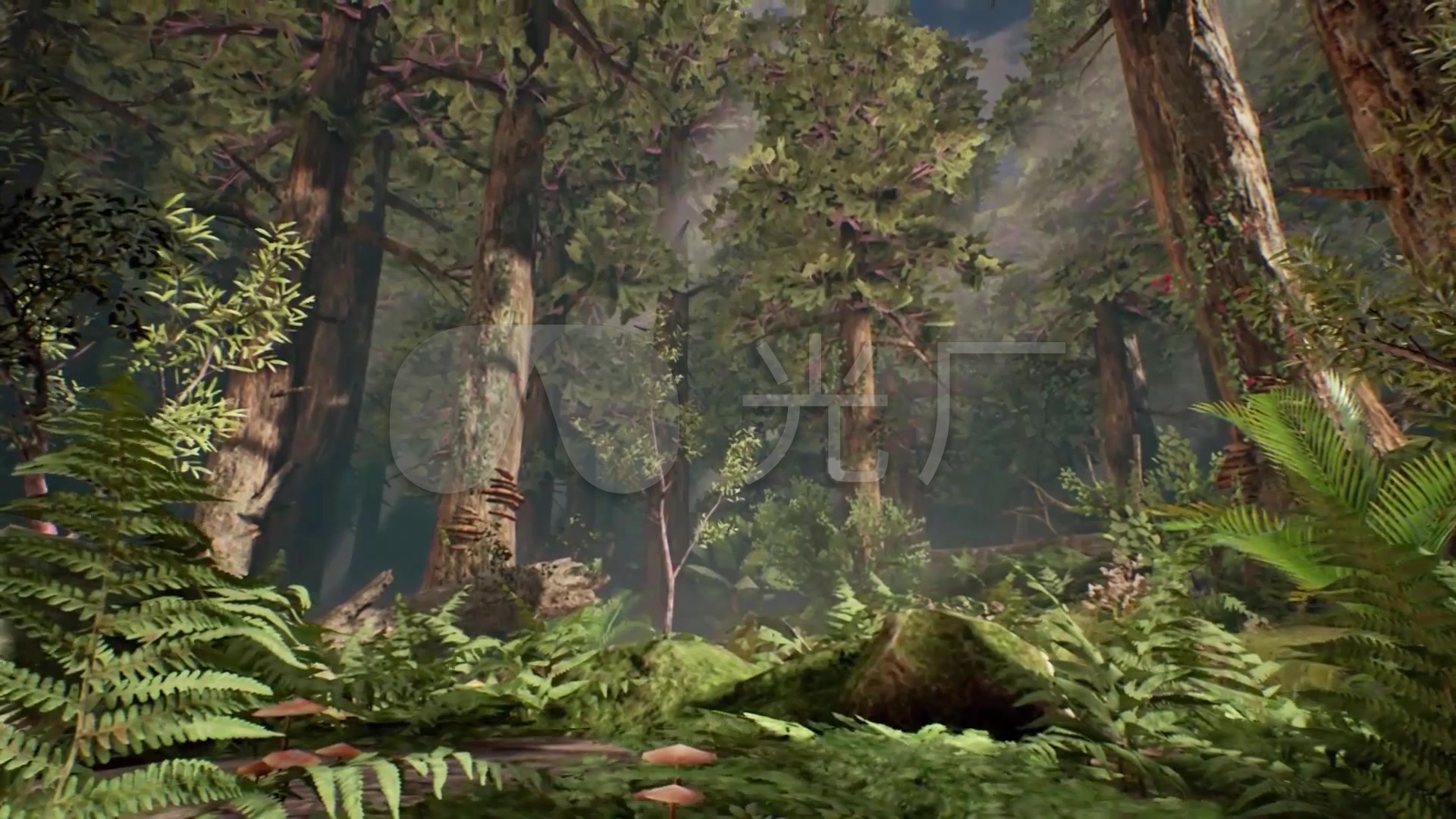 3d原始森林魔幻森林漫游穿梭