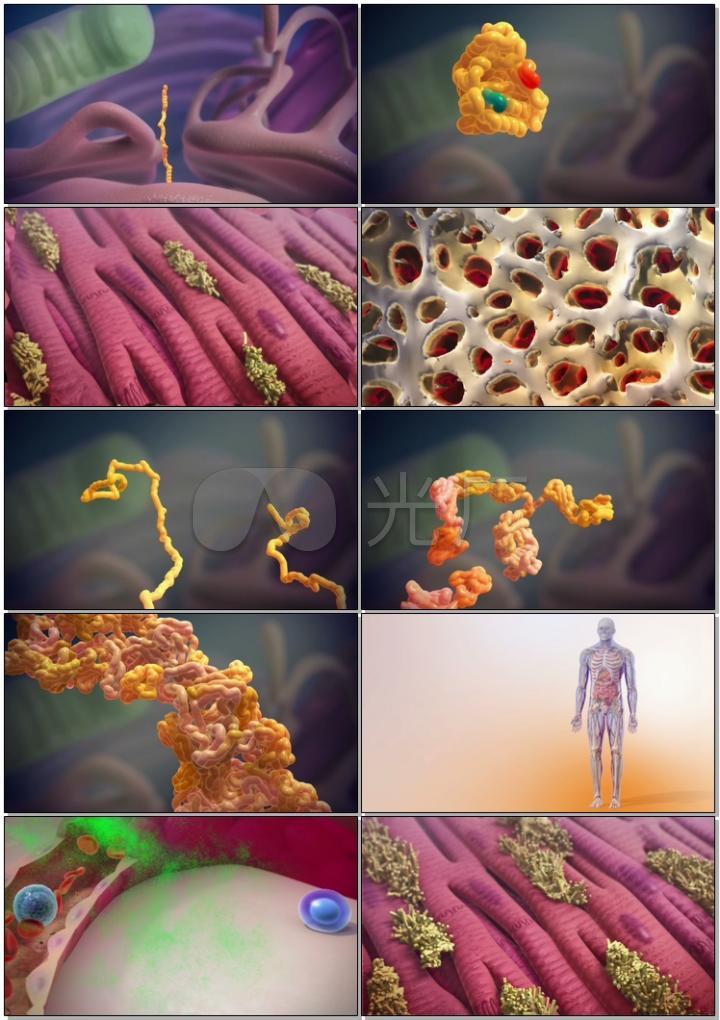 人体心脏细胞细菌治疗医学医疗