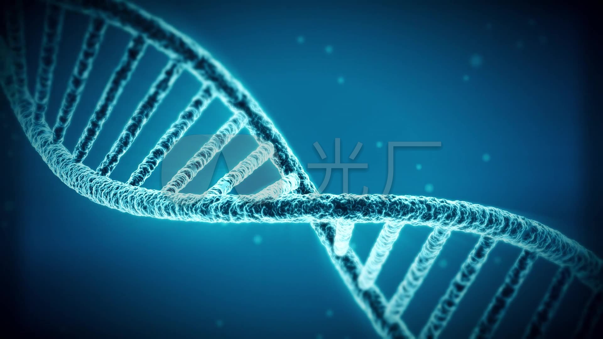 dna三维动画医学演示_1920x1080_高清视频素材下载(编号:2557114)