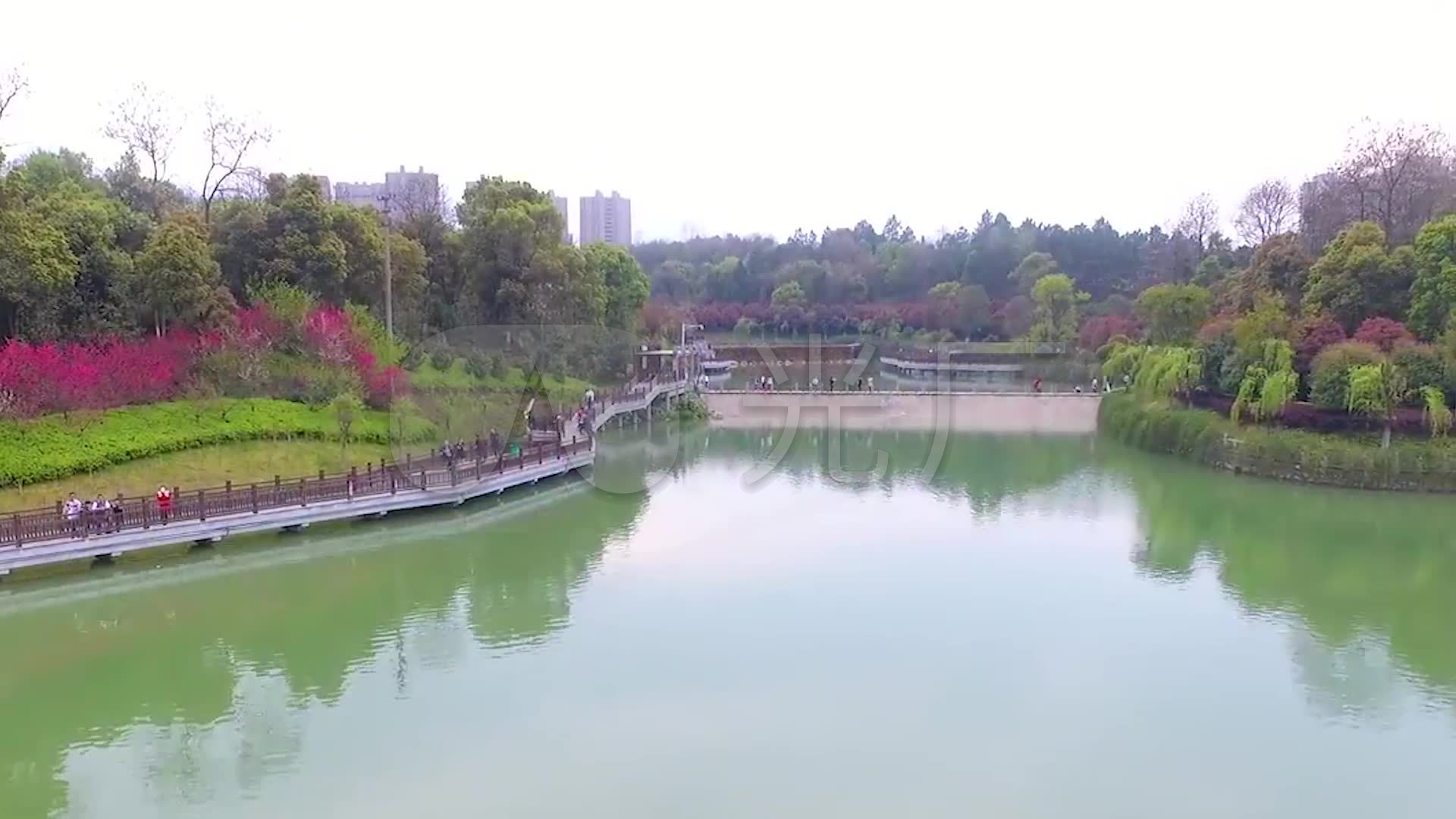 航拍 中国 广东省 深圳市 南头半岛 南山公园 全景