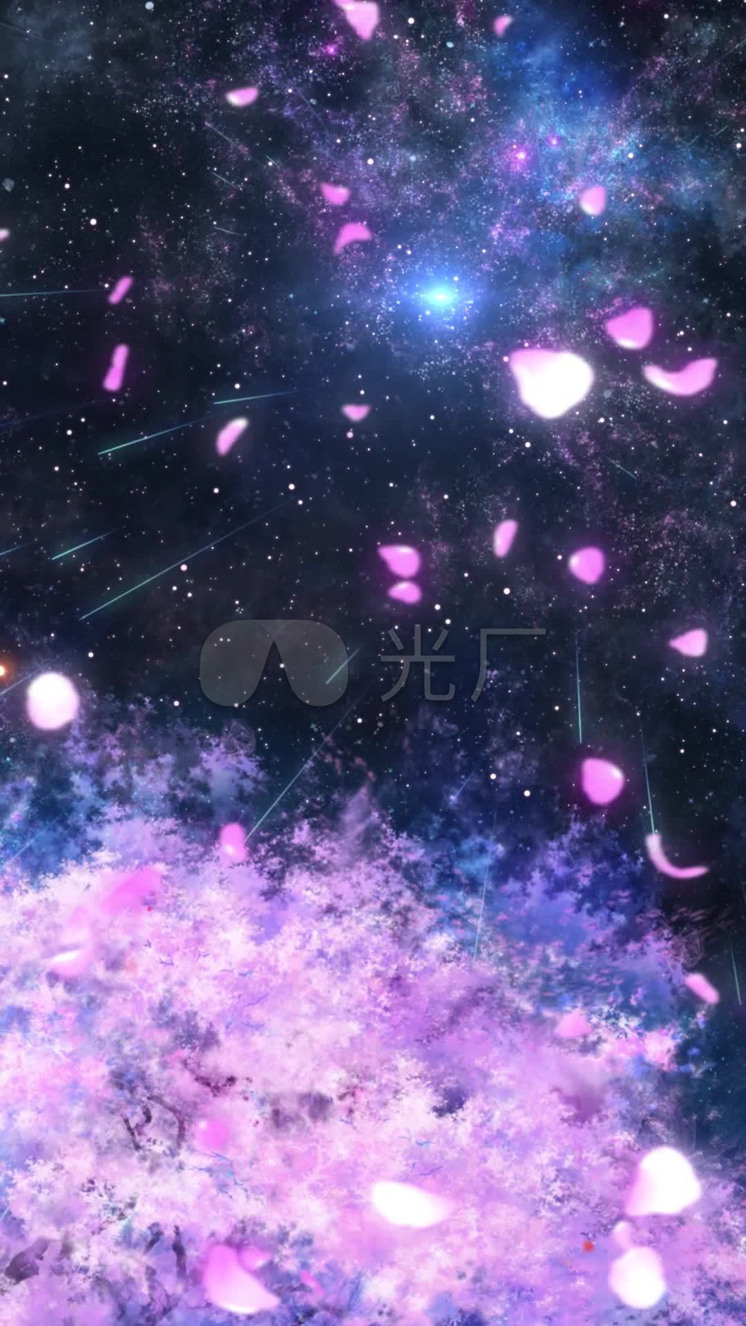 夜晚樱花星空_1080x1920_高清视频素材下载(编号:)