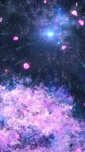 夜晚樱花星空视频素材
