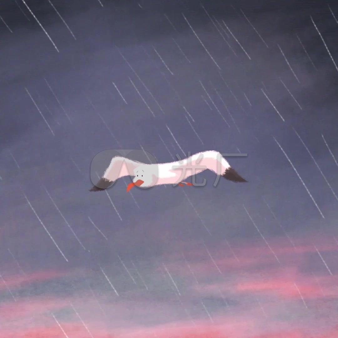 风雨无阻海鸥动画_1080x1080_高清视频素材下载(编号