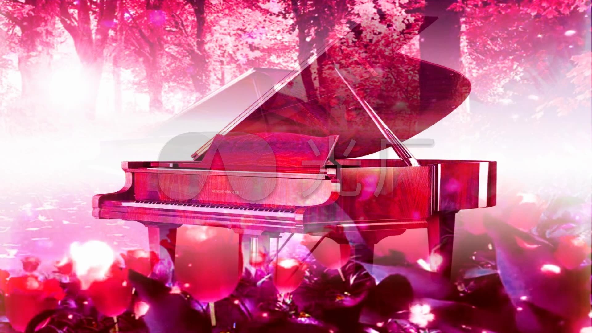 致爱丽丝 钢琴曲 花海 花瓣 粒子 背景