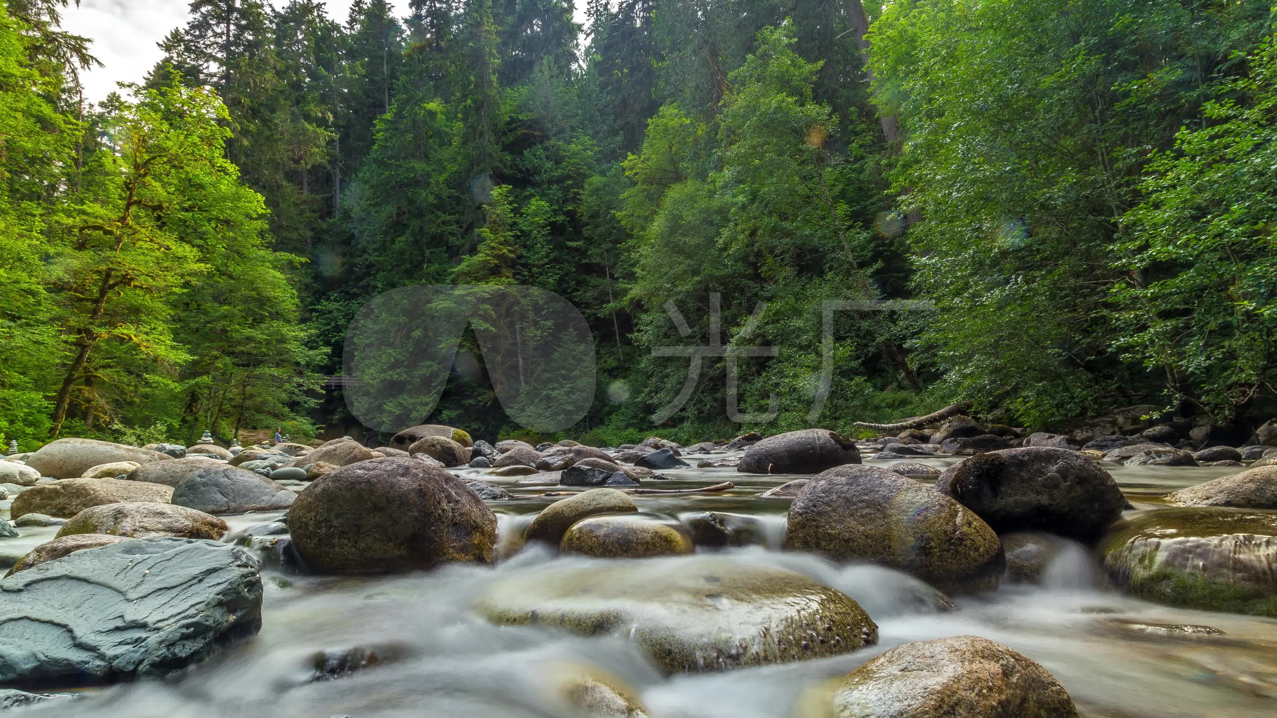纯净的水溪水绿化树林鹅卵石水_4096x2304_高清视频
