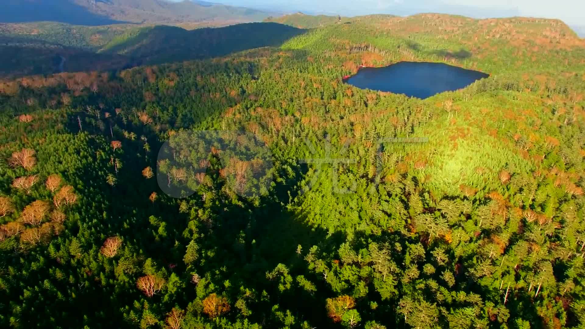 日本 长野县 白驹池 八岳山麓 航拍 树林 森林