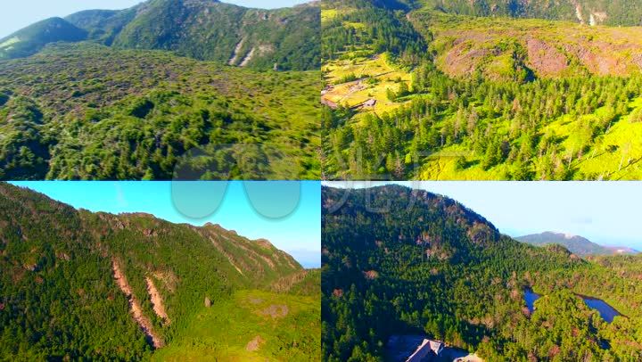 日本八岳山麓红叶山峰树林航拍自然风光山地