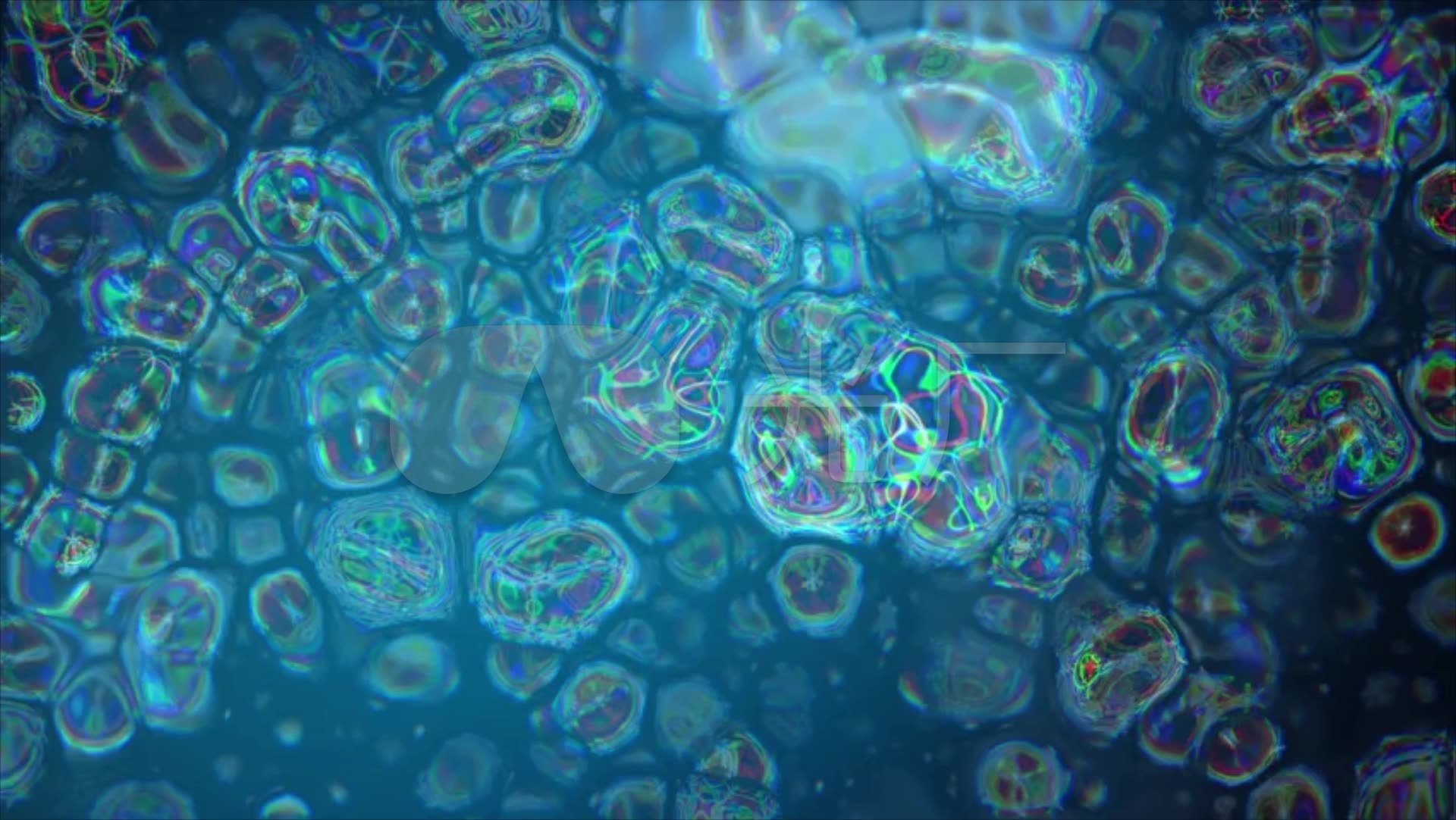 显微镜下细胞分子