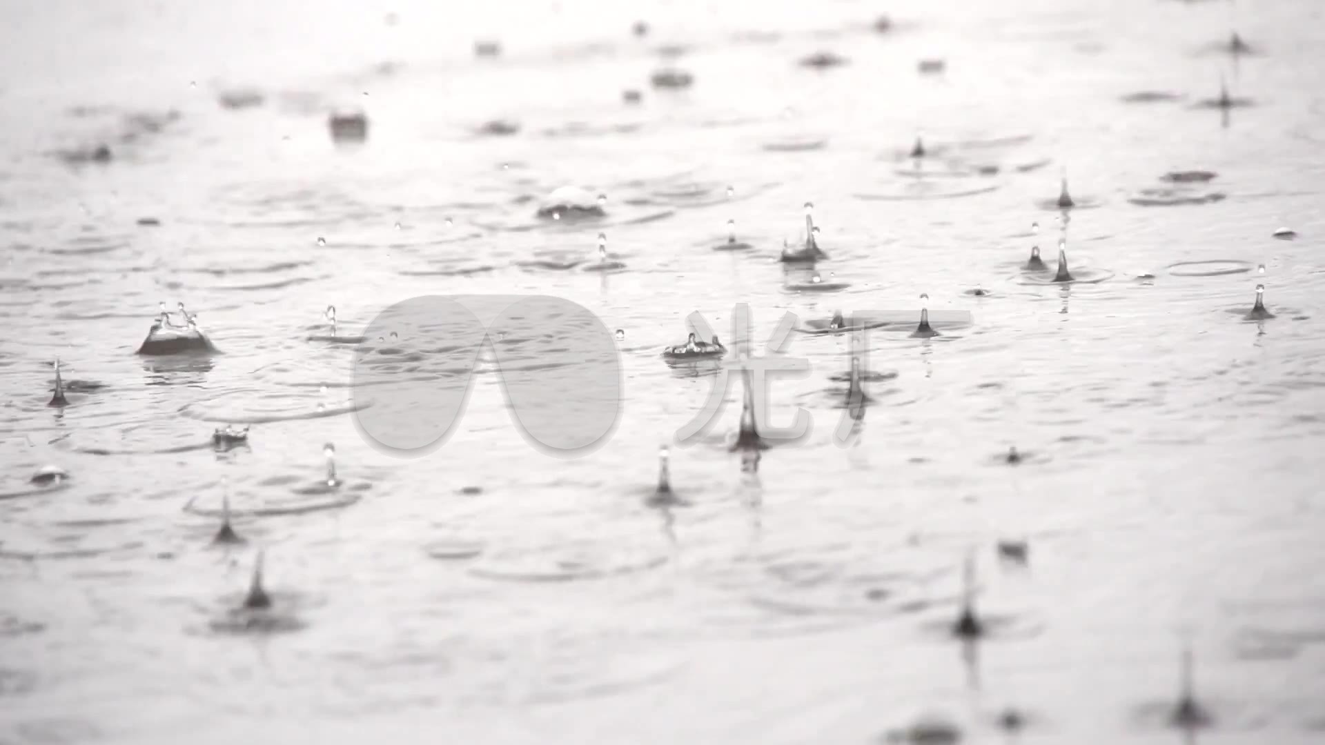 雨滴落地上