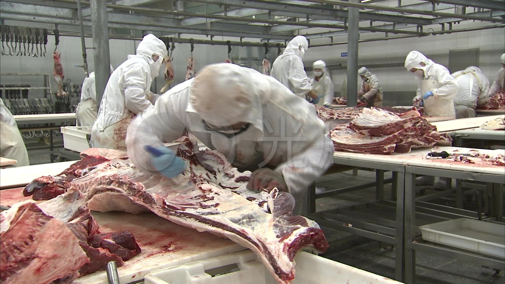 屠宰场牛羊肉类食品加工实拍视频素