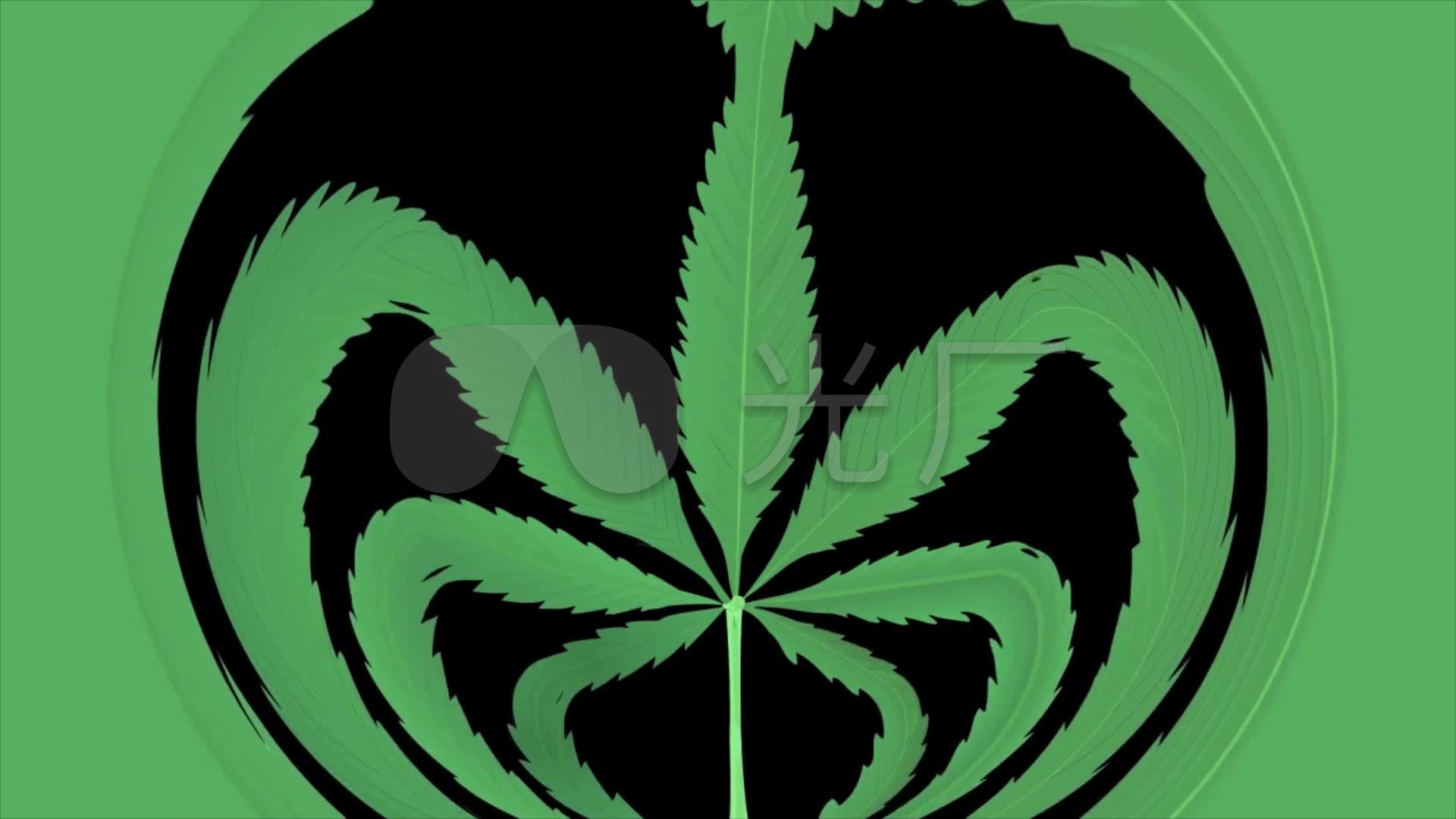 大麻叶子枫叶树叶野人部落秀素材图片