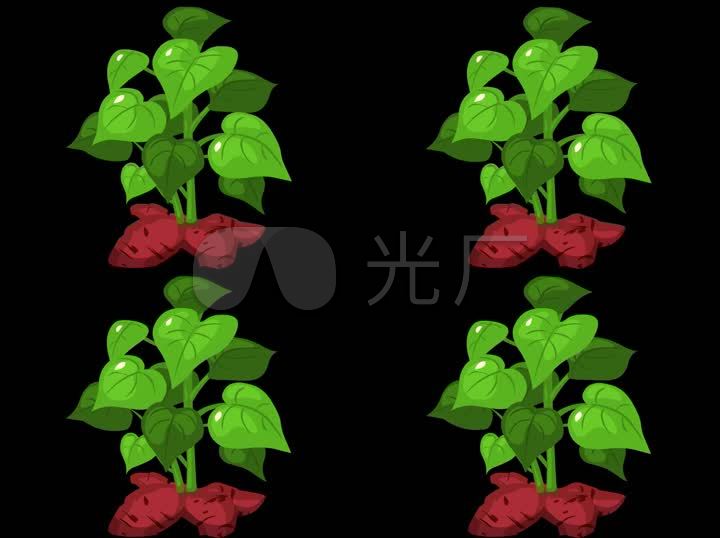 卡通绿色的地瓜叶植物可抠像素材