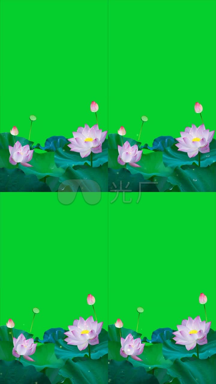 ae绿屏背景特效素材