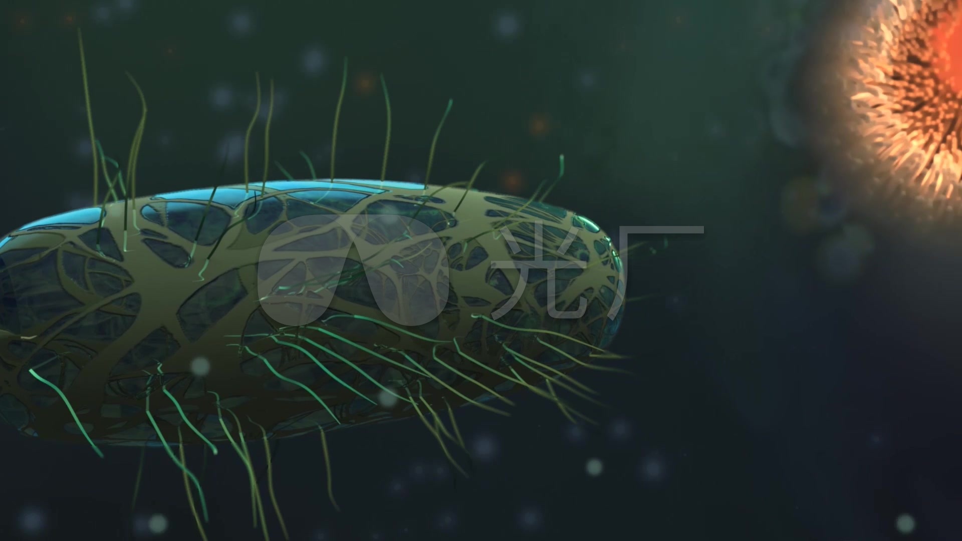 微观世界细菌微生物病毒