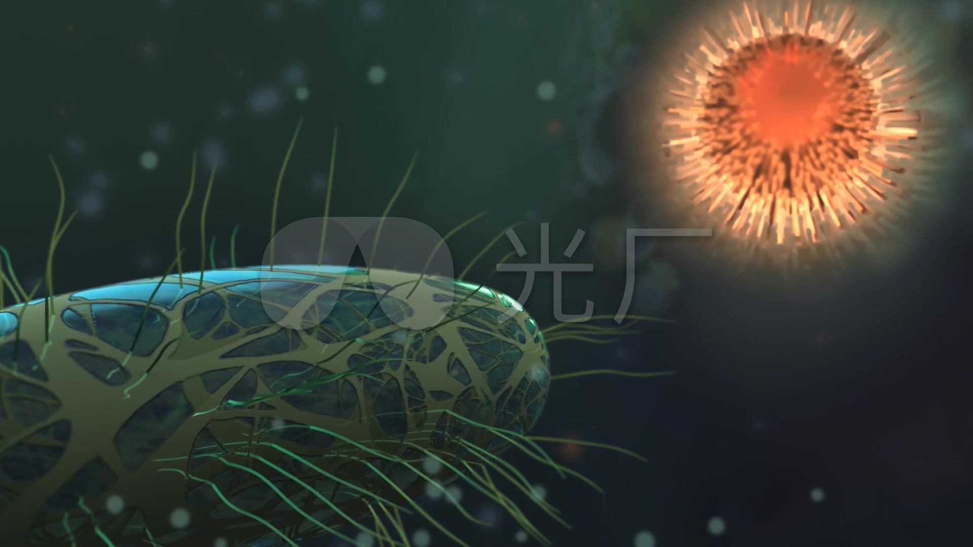 微观世界细菌微生物病毒