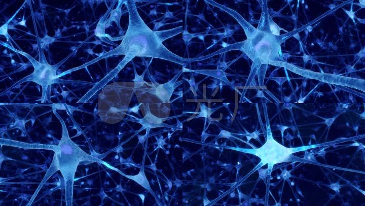 神经元神经网络医疗神经系统