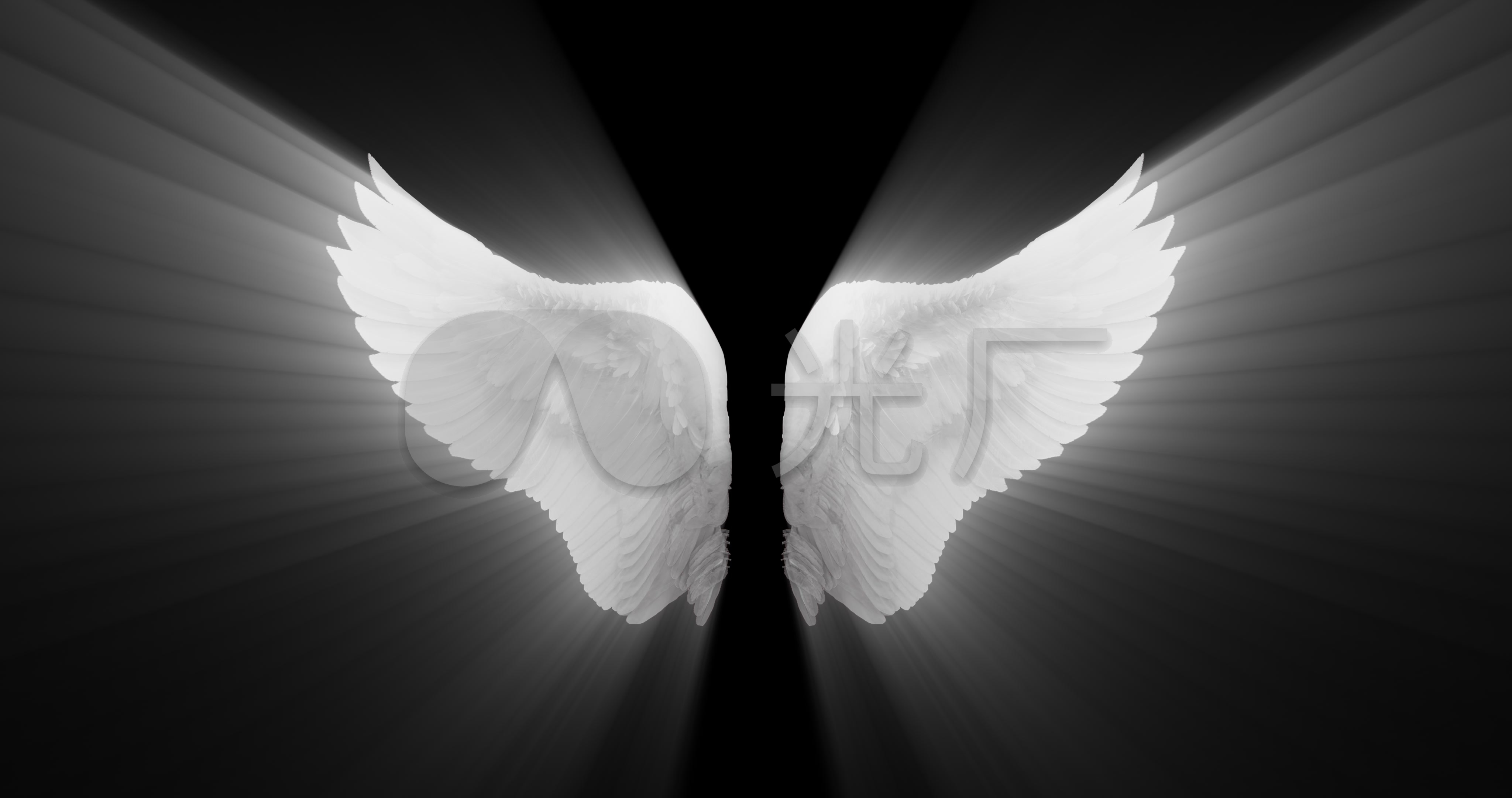 4k发光白色天使翅膀透明通道循环动画_4096x2160_高清