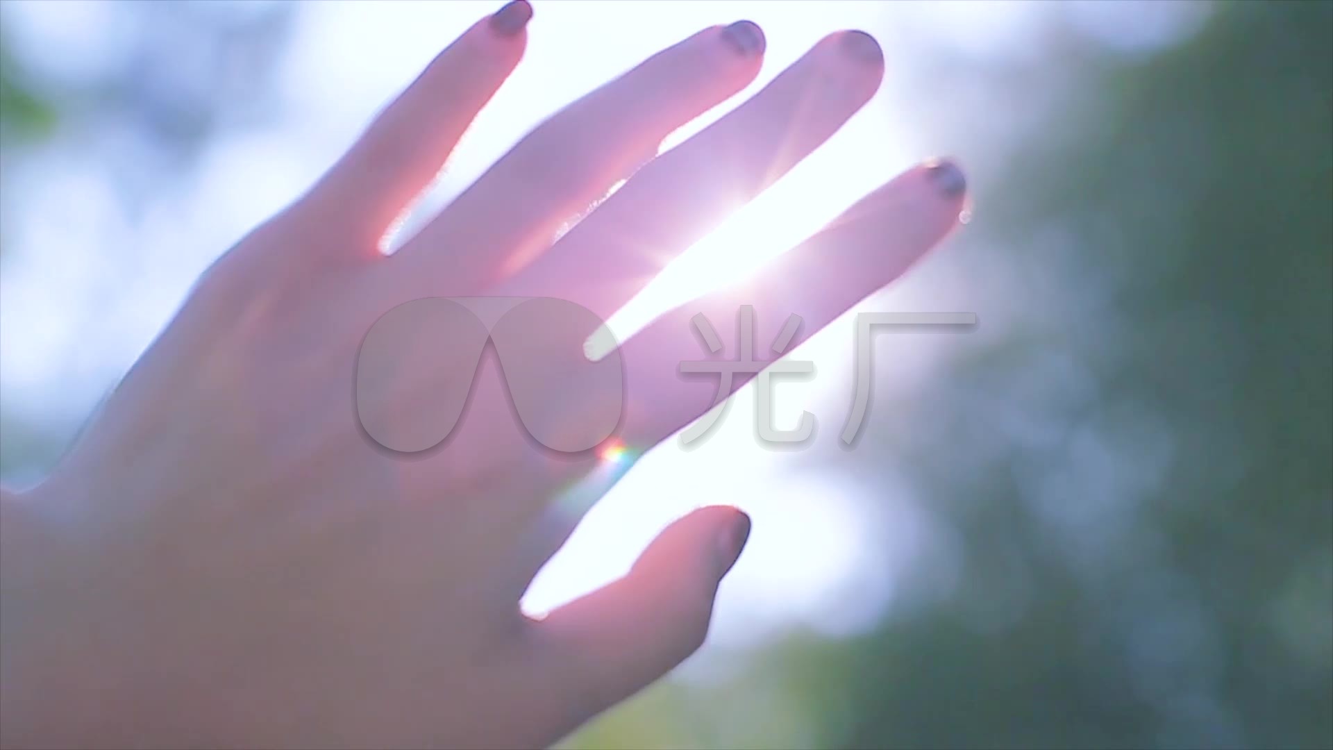 林荫间阳光下日系小清新美女背影
