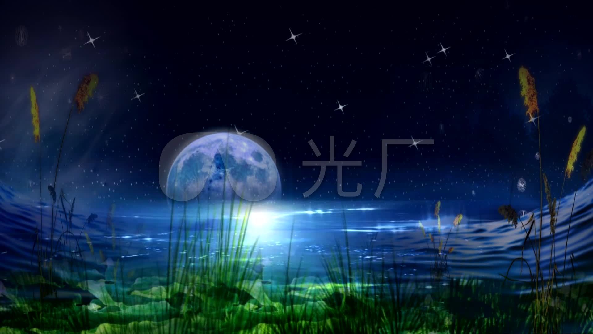 朗诵南方的夜led背景视频