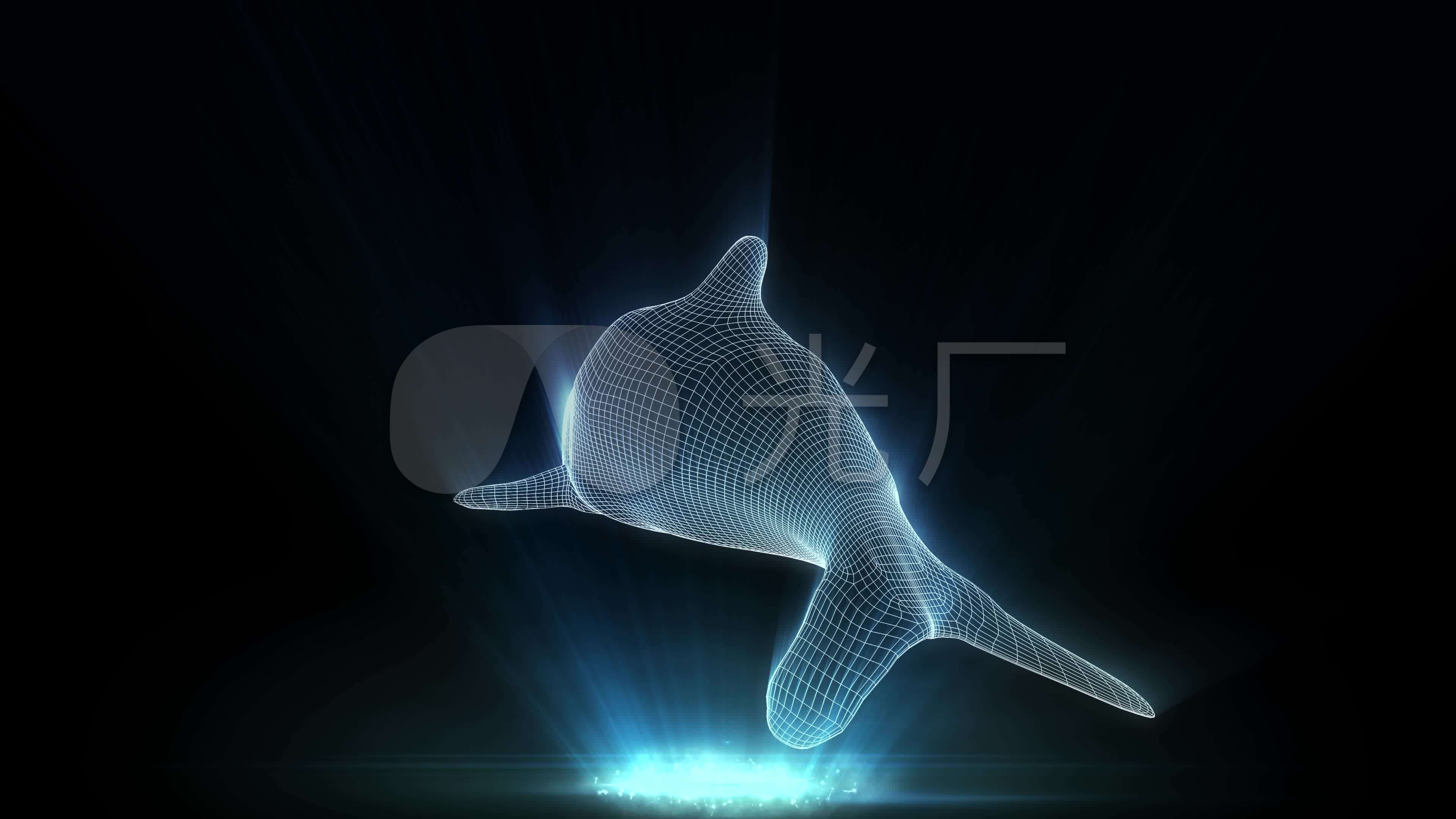 全息投影3d虎鲸网格旋转视频_3840x2160_高清视频素材下载(编号