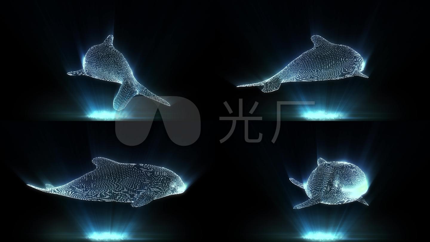 全息投影3d虎鲸网格旋转视频_3840x2160_高清视频素材下载(编号
