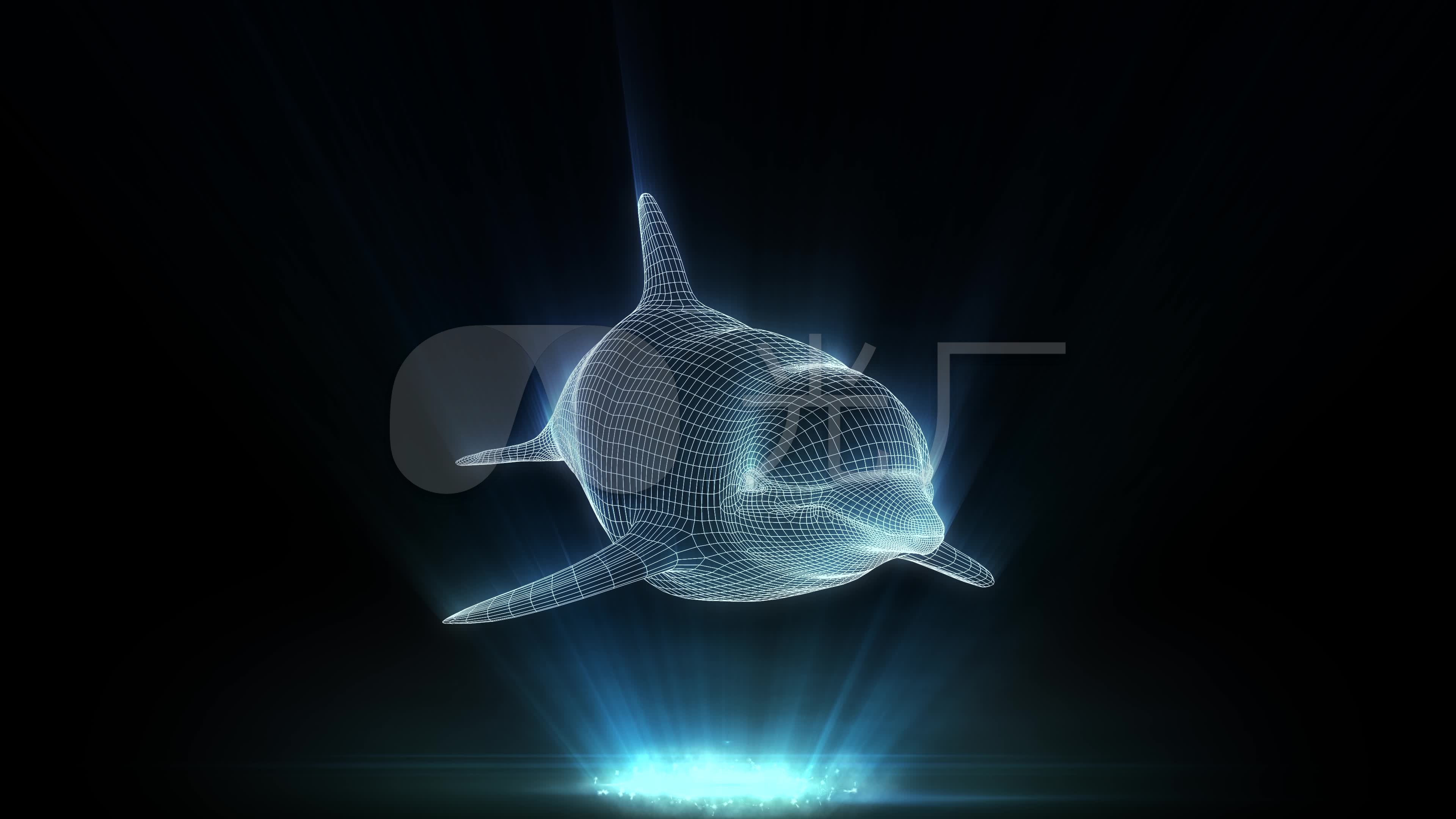 全息投影3d海豚网格循环视频_3840x2160_高清视频素材