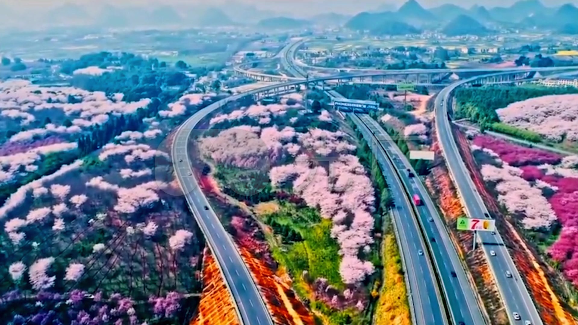 贵州最美高速公路,平坝樱花