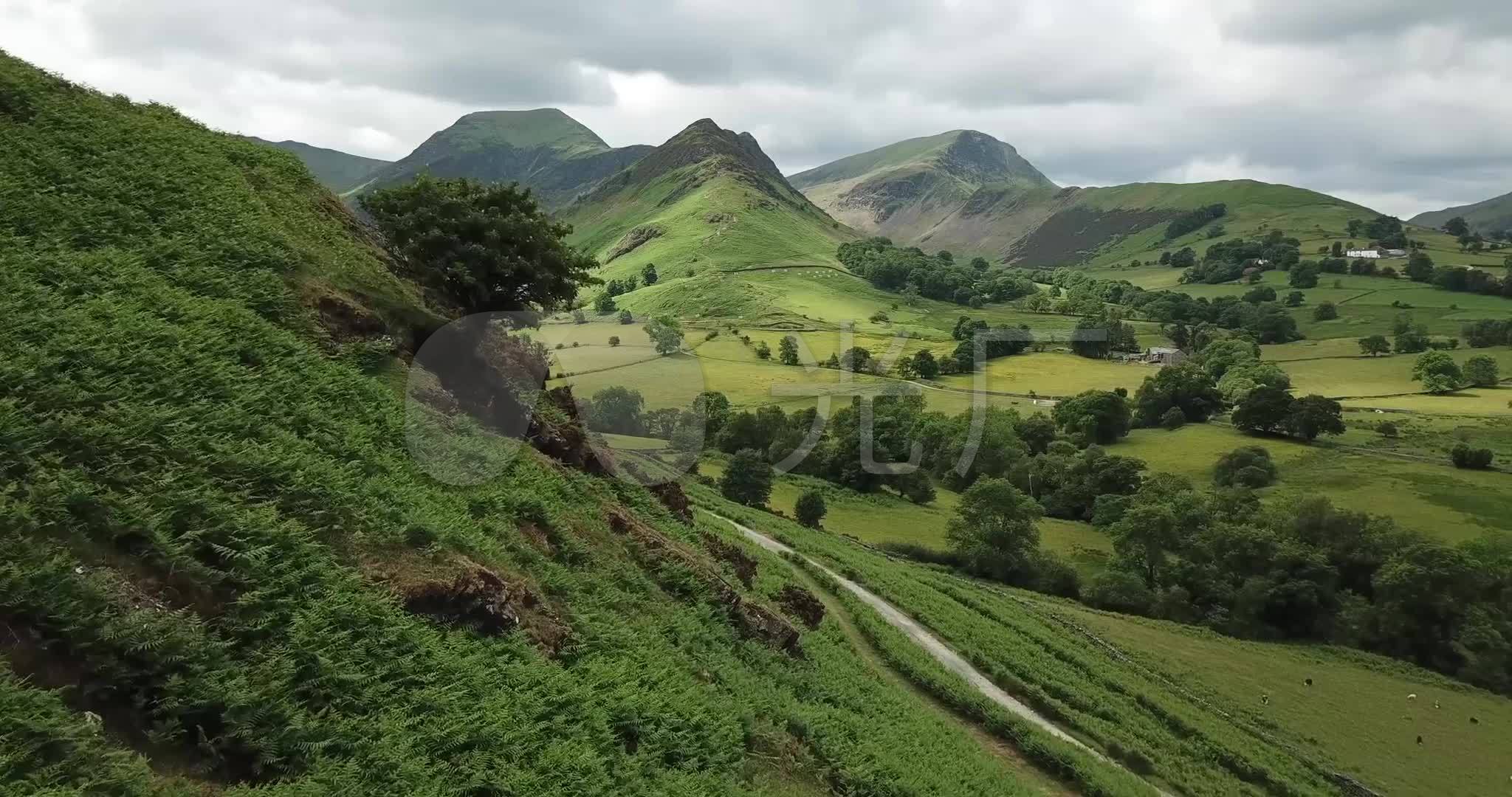 绿色的山谷山坡草地