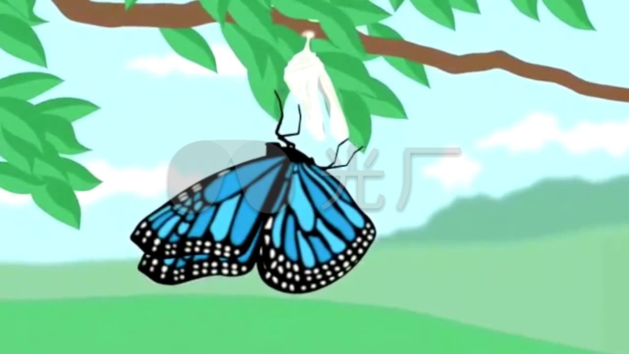 破茧成蝶华丽蜕变动画