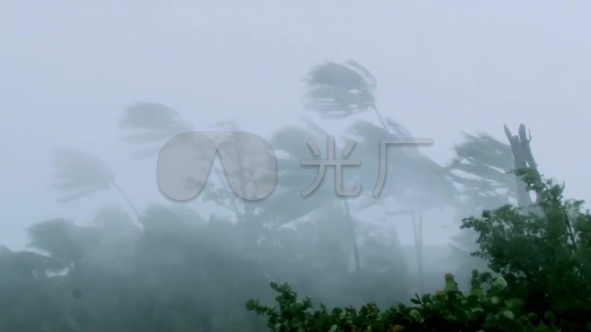 狂风暴雨_飓风登陆_台风来袭_暴风雨_1920x1080_高清