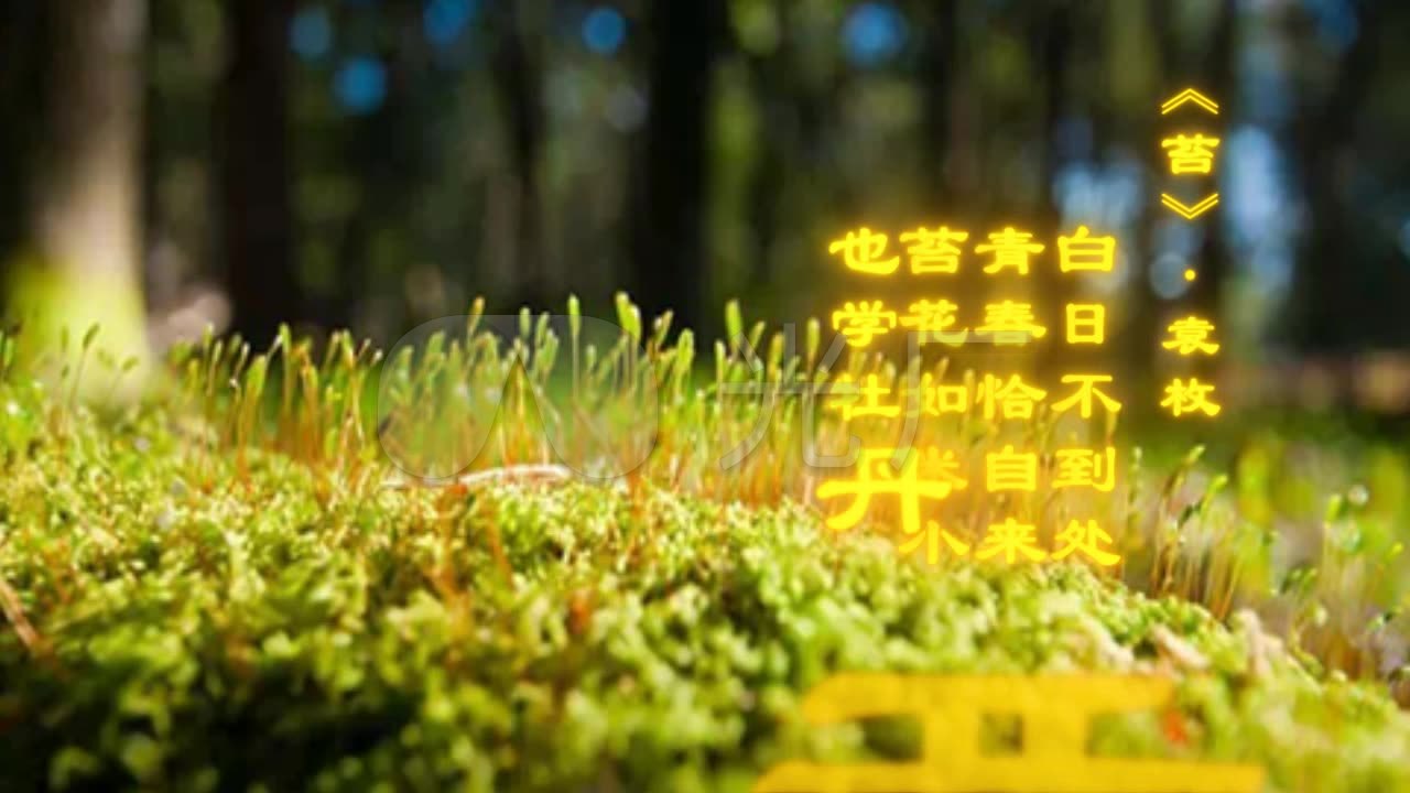 苔古风朗诵苔小草苔花_1280x720_高清视频素材下载