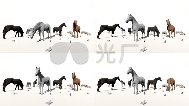 马动物跑马马群3d卡通