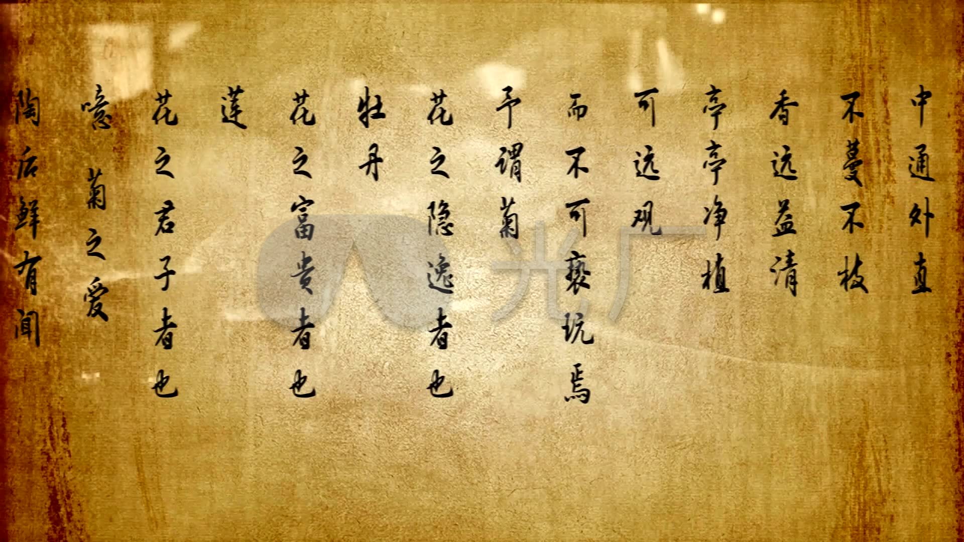 水墨古文宋词爱莲说视频背景素材